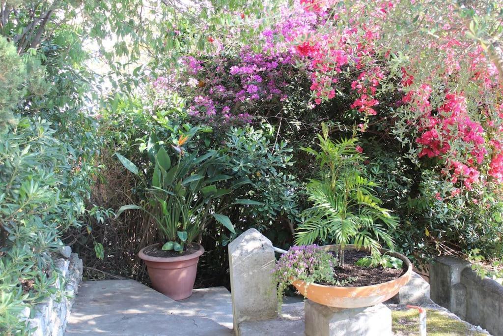 Casa Letizia Apartman Taormina Kültér fotó